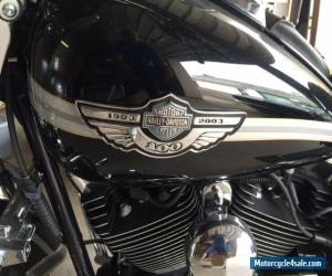 Motorcycle 2003 Harley-Davidson Softail for Sale