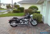 2001 Harley-Davidson Softail for Sale