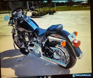 Motorcycle 2001 Harley-Davidson Softail for Sale