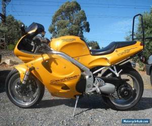 TRIUMPH T 595 DAYTONA AWESOME EXAMPLE LOOKS AND RIDES AS NEW for Sale