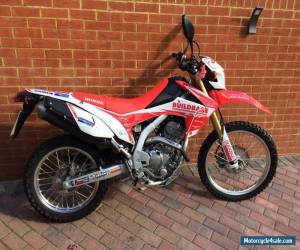 Motorcycle 2013 HONDA CRF 250 L-D RED for Sale