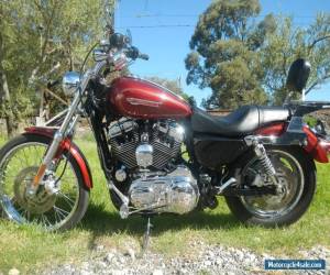 Motorcycle HARLEY DAVIDSON 1200 SPORTSTER, EXCELLENT CONDITION! RUNS AND RIDES AWESOME for Sale