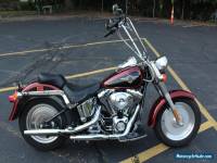 2000 Harley-Davidson Softail