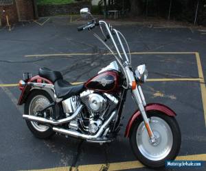 Motorcycle 2000 Harley-Davidson Softail for Sale