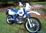 Suzuki DR650 for Sale