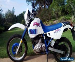 Motorcycle Suzuki DR650 for Sale