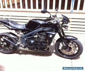 Motorcycle 2009 Triumph speed triple for Sale