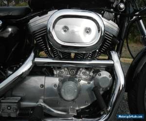 Motorcycle HARLEY 1200 cc SPORTSTER SOUNDS AND RIDES AS NEW ONLY $6990 for Sale