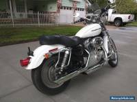 2006 Harley-Davidson Sportster