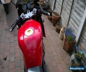 Motorcycle 1995 YAMAHA TRX 850 RED for Sale