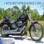 2005 Harley-Davidson Softail for Sale