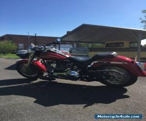 Motorcycle 2004 Harley-Davidson Softail for Sale