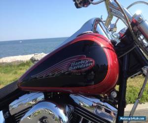 Motorcycle 1999 Harley-Davidson Softail for Sale