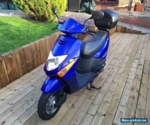 Motorcycle Honda SCV100 Lead Scooter 100cc for Sale