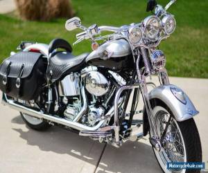 Motorcycle 2003 Harley-Davidson Softail for Sale