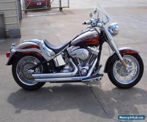 Motorcycle 2006 Harley-Davidson Softail for Sale