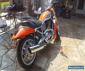 Motorcycle 2006 Harley-Davidson VRSC for Sale