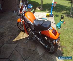 Motorcycle 2006 Harley-Davidson VRSC for Sale