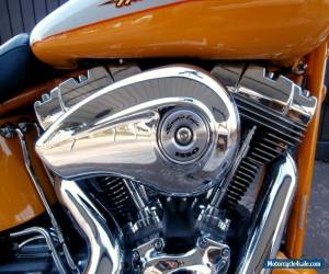 Motorcycle 2004 Harley-Davidson Softail for Sale