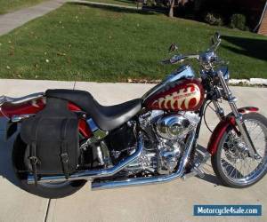 Motorcycle 2003 Harley-Davidson Softail for Sale