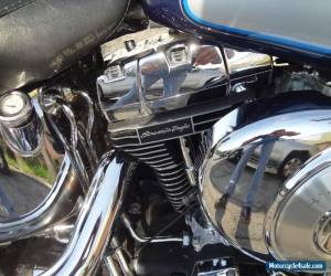 Motorcycle 2000 Harley-Davidson Softail for Sale