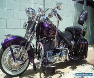 Motorcycle 2000 Harley-Davidson Softail for Sale