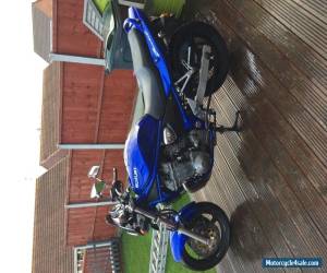 Motorcycle 2002 SUZUKI GSF600 BLUE for Sale