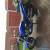 2002 SUZUKI GSF600 BLUE for Sale