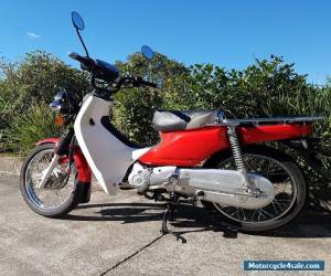 Motorcycle Honda NBC110 Cub for Sale