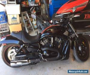 Motorcycle 2008 Harley-Davidson Night Rod Special 1450kms for Sale