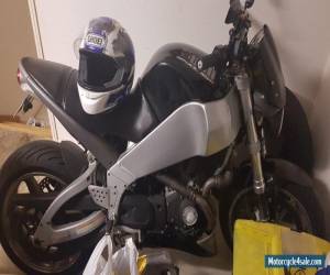 Motorcycle Buell XB9S LIGHTNING  for Sale