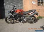 TRIUMPH 675 STREET TRIPLE R 2010 GREAT ROAD TRACK OR STUNT BIKE CHEAP DAYTONA for Sale