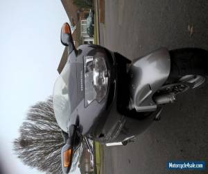 Motorcycle Honda Blackbird CBR1100X-6 for Sale