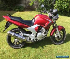 Motorcycle Yamaha YBR 250 for Sale