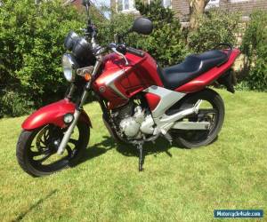 Motorcycle Yamaha YBR 250 for Sale