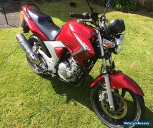 Motorcycle Yamaha YBR 250 for Sale