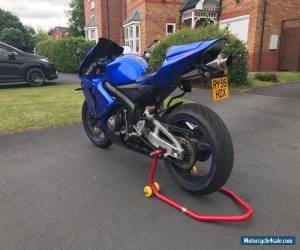 Motorcycle 2005 Honda CBR 600RR for Sale