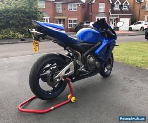 Motorcycle 2005 Honda CBR 600RR for Sale