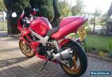 1999 HONDA VTR firestorm 1000 RED for Sale