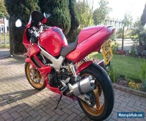 Motorcycle 1999 HONDA VTR firestorm 1000 RED for Sale