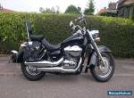 Honda Shadow VT750C Black & Chrome Cruiser Motorcycle for Sale