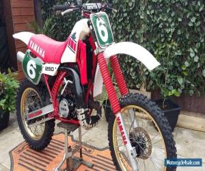 Motorcycle Yamaha yz 250 n 1985 evo twinshock pre 85 for Sale