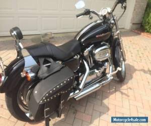 Motorcycle 2007 Harley-Davidson Sportster for Sale