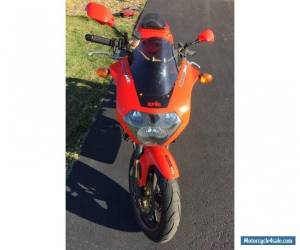 Motorcycle 2004 Aprilia Tuono for Sale