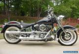 1995 Harley-Davidson Softail for Sale