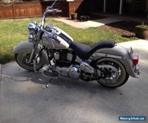 Motorcycle 1994 Harley-Davidson Softail for Sale