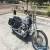 2004 Harley-Davidson Softail for Sale