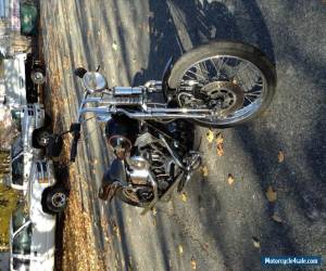 Motorcycle 1998 Harley-Davidson Softail for Sale