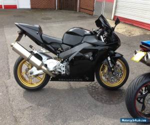 Motorcycle HONDA FIREBLADE 954cc RR2 2003 OHLINS, GALFER, OZ WHEELS, AKROPOVIC  for Sale