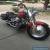 2000 Harley-Davidson Softail for Sale